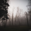Parc de la Butte à Leers sous le brouillard