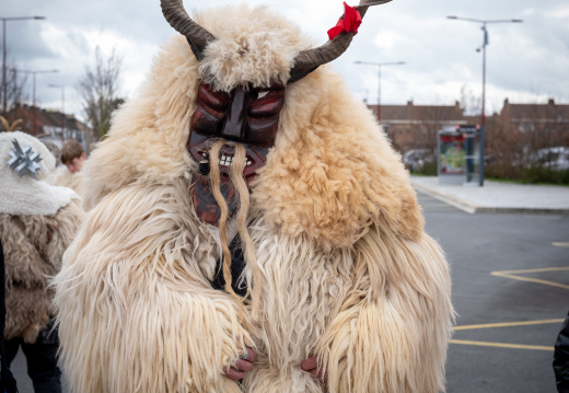 Carnaval de Leers 2026