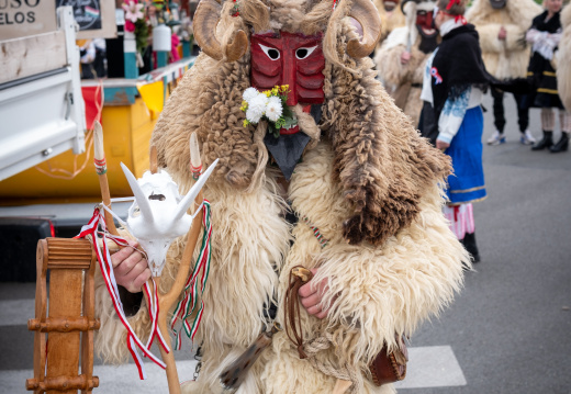 Carnaval de Leers 2026
