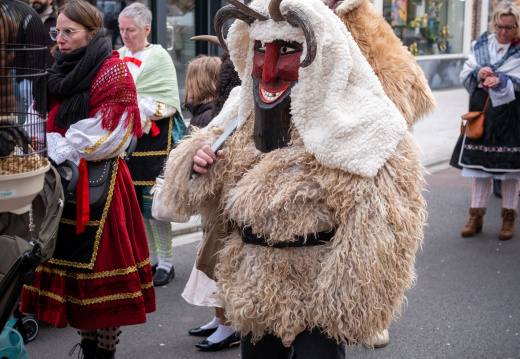 Carnaval de Leers 2026